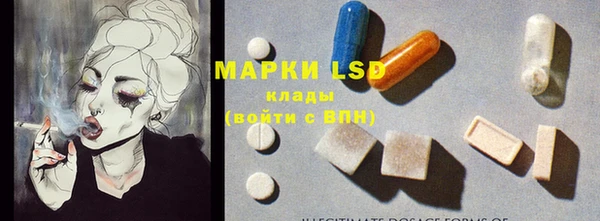 ECSTASY Пересвет