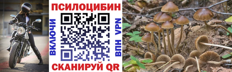 цена   Ярославль  блэк спрут вход  Псилоцибиновые грибы ЛСД 
