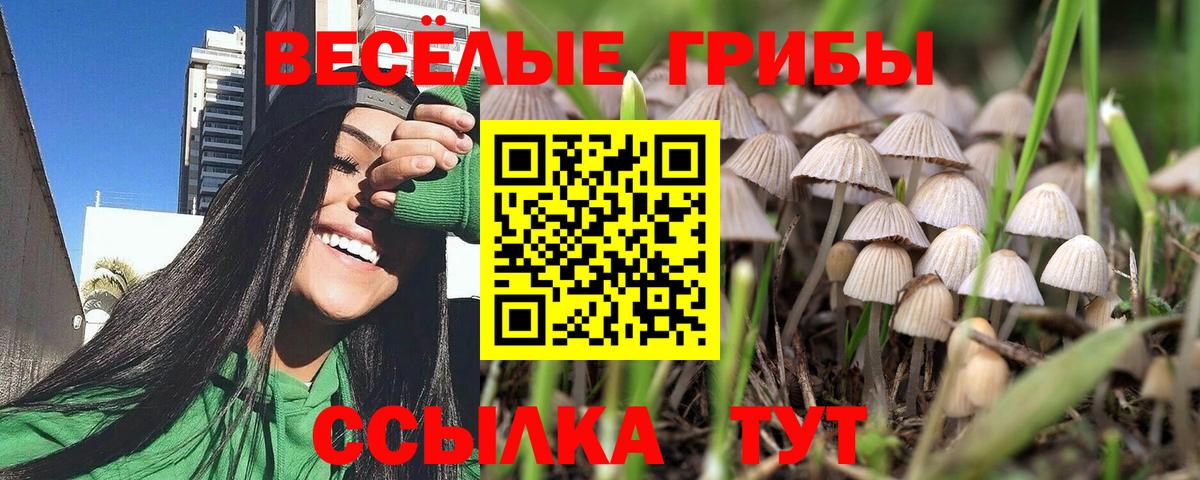 Галлюциногенные грибы MAGIC MUSHROOMS  Вход с VPN  Ярославль 