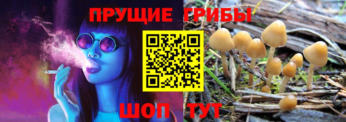 Галлюциногенные грибы GOLDEN TEACHER Ярославль